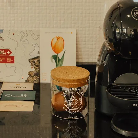 Cantinho Da Cavadinha Villa Arouca