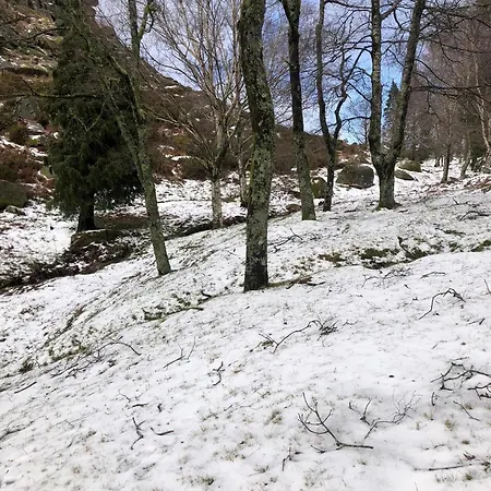 Cantinho Da Cavadinha