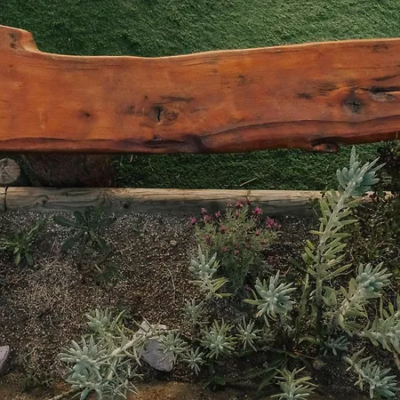 Villa Cantinho Da Cavadinha Arouca