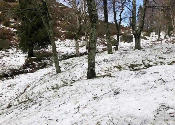 Cantinho Da Cavadinha